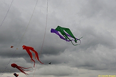 Venice kite festival_0337